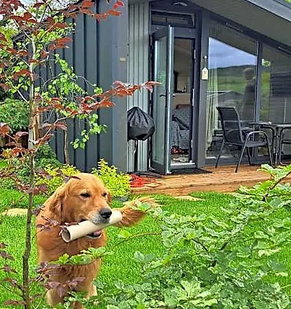 Sauerland-tinyworld - Ihr Tiny Am Rande Des Sauerlandes, Naehe Diemelsee Hotel Adorf